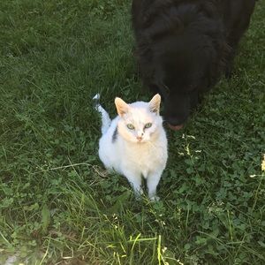 Meet your Posher, Barb